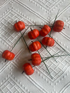 Pumpkins (Singular)