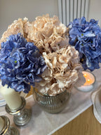 Beige Dried Hydrangeas