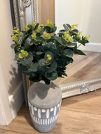 Eucalyptus bunch