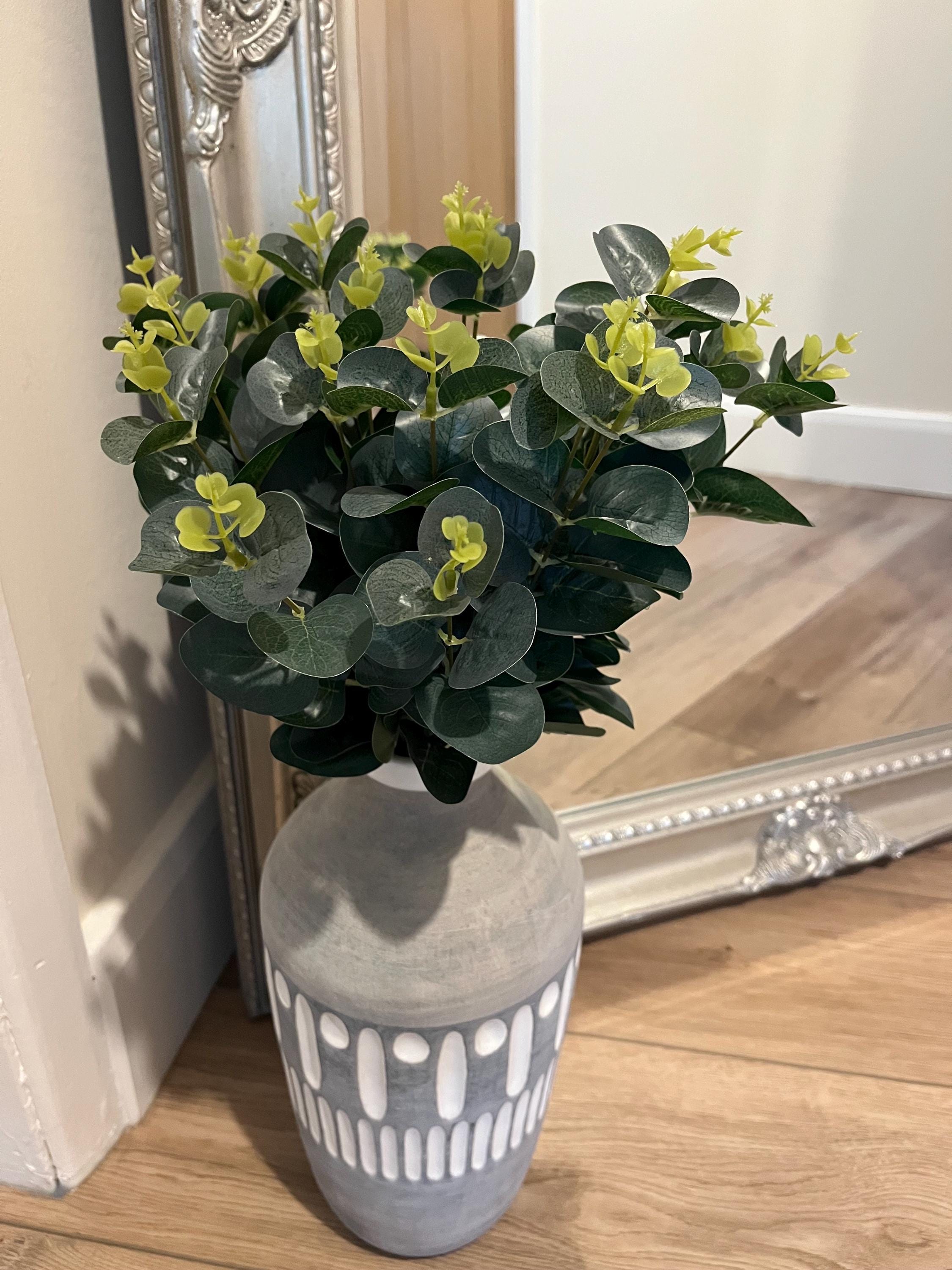 Eucalyptus bunch