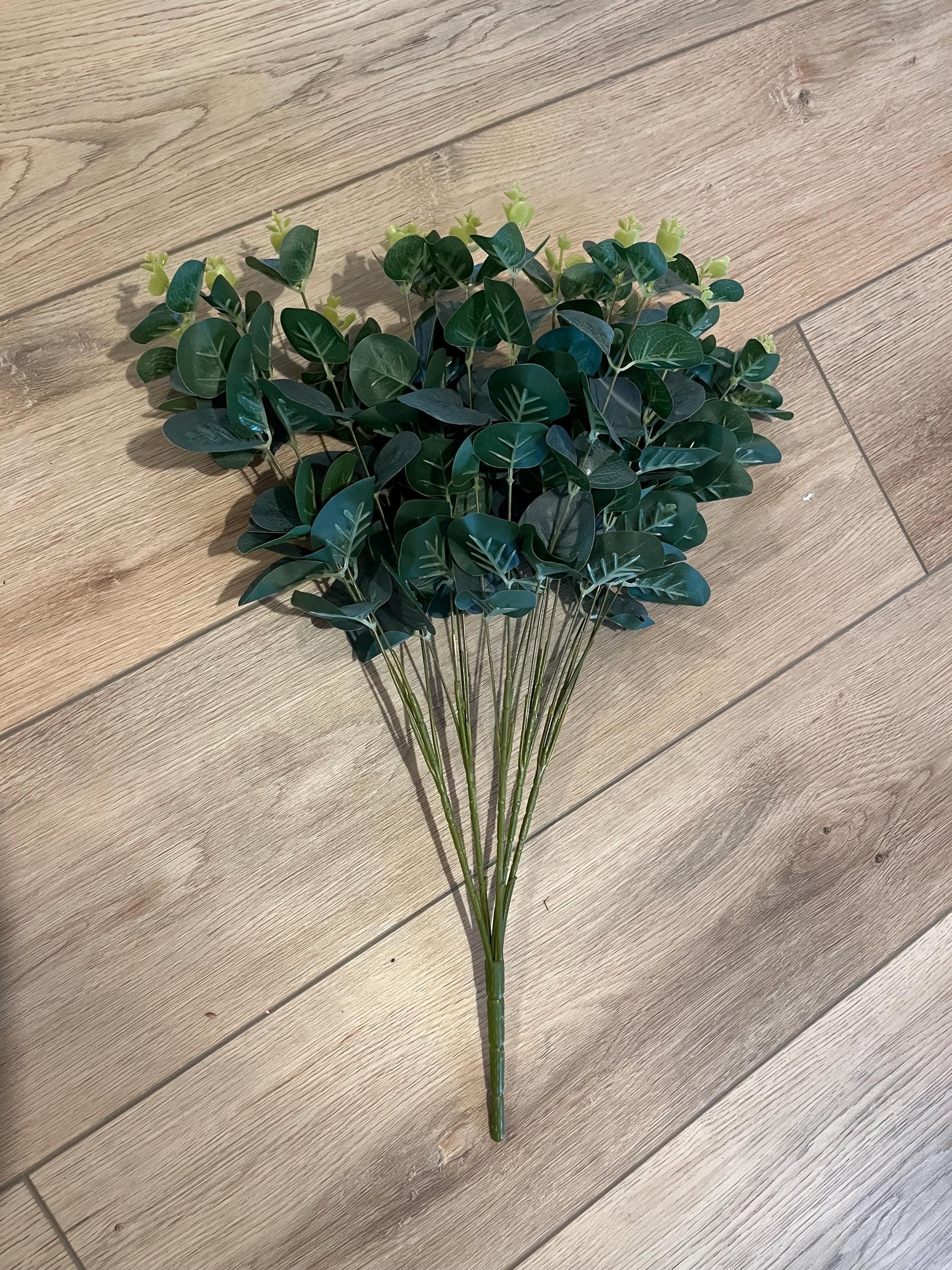 Eucalyptus bunch